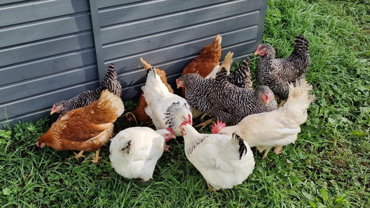 Comberjon Domaine Le Puits Du Moulin Bed & Breakfast エクステリア 写真